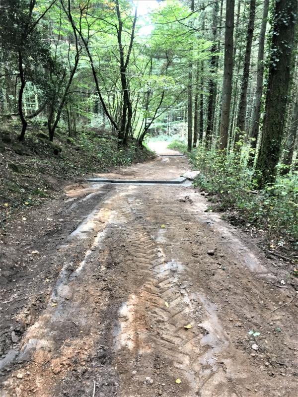 POSE D'UPN POUR LIMITER RAVINEMENT EN CHEMIN FORESTIER